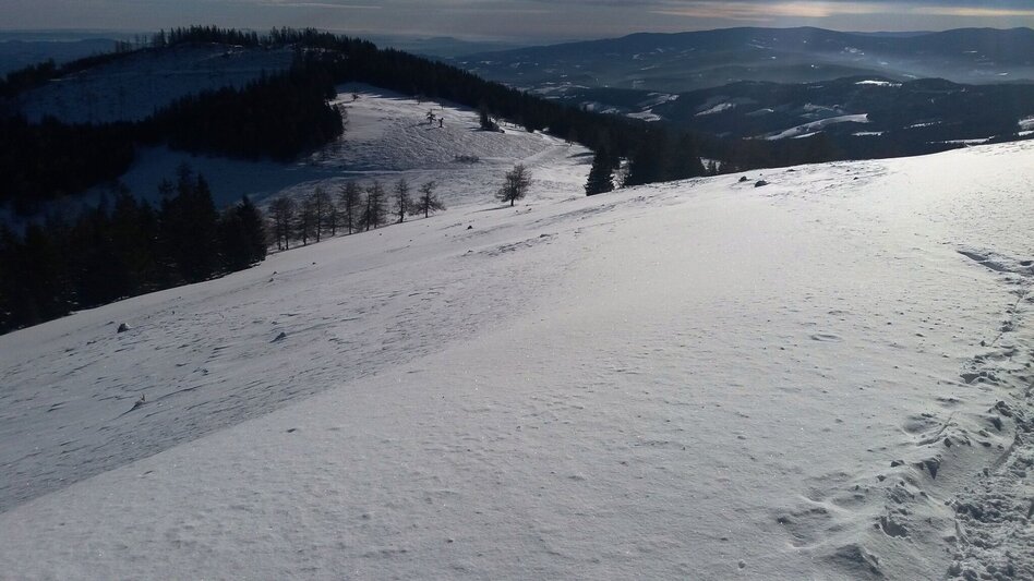 Schneeschuhwandern Krugmoar-Runde - Touren-Impression #2.8 | © Region Graz