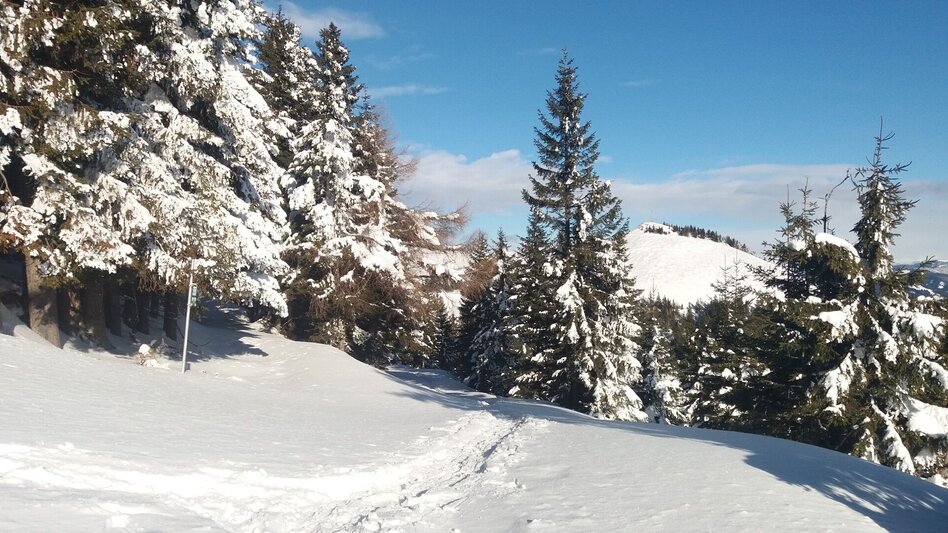 Schneeschuhwandern Krugmoar-Runde - Touren-Impression #2.9 | © Region Graz