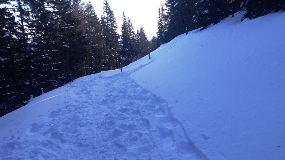 Schneeschuhwandern Krugmoar-Runde - Touren-Impression #2.10 | © Region Graz