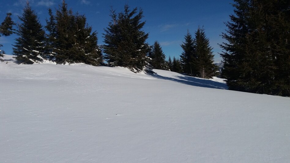 Schneeschuhwandern Krugmoar-Runde - Touren-Impression #2.11 | © Region Graz