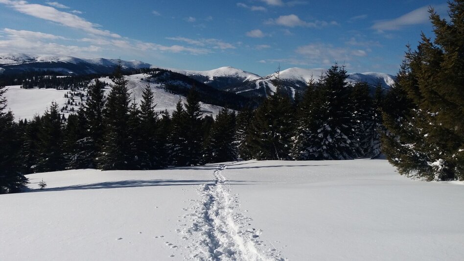 Schneeschuhwandern Krugmoar-Runde - Touren-Impression #2.13 | © Region Graz