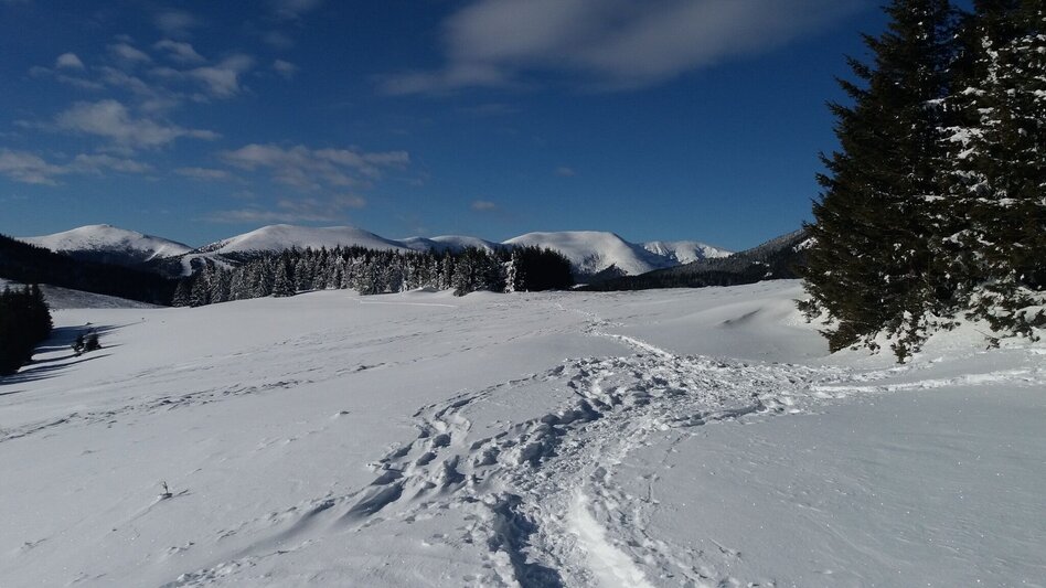 Schneeschuhwandern Krugmoar-Runde - Touren-Impression #2.14 | © Region Graz