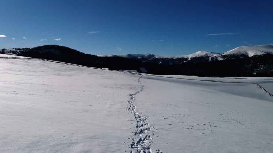 Schneeschuhwandern Krugmoar-Runde - Touren-Impression #2.16 | © Region Graz