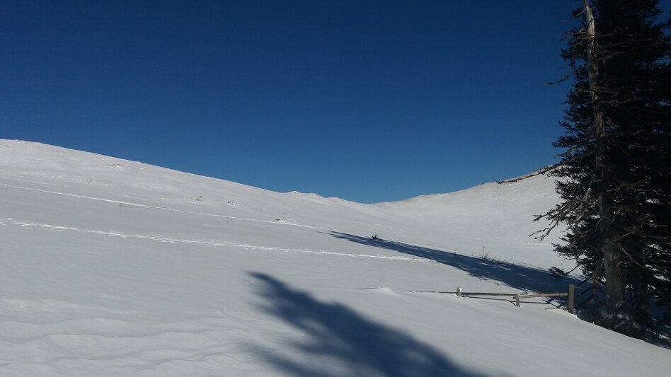 Schneeschuhwandern Krugmoar-Runde - Touren-Impression #2.17 | © Region Graz