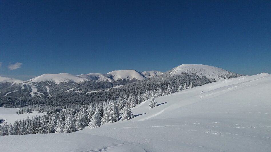 Schneeschuhwandern Krugmoar-Runde - Touren-Impression #2.18 | © Region Graz