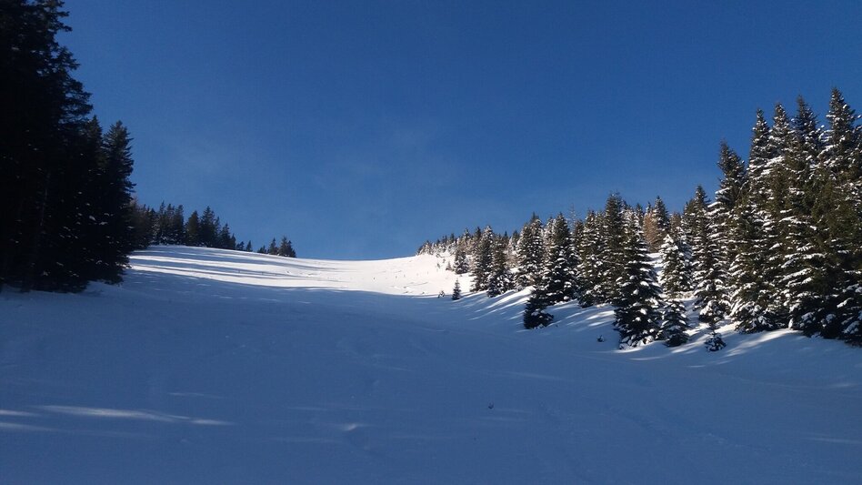 Schneeschuhwandern Krugmoar-Runde - Touren-Impression #2.5 | © Region Graz
