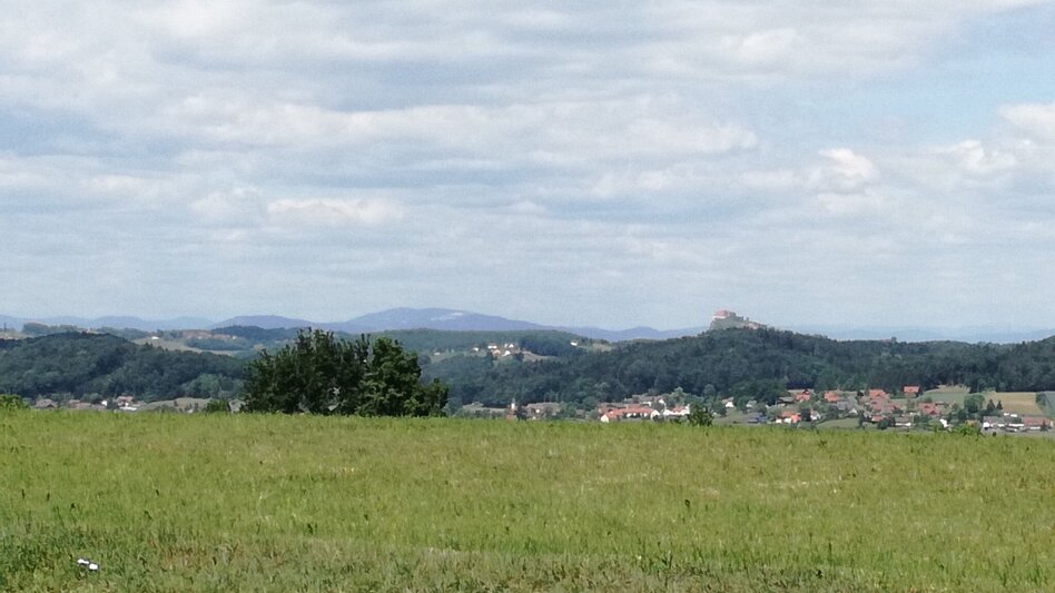 Radfahren Schwammerltour FB9 - Touren-Impression #2.3 | © Thermen- & Vulkanland