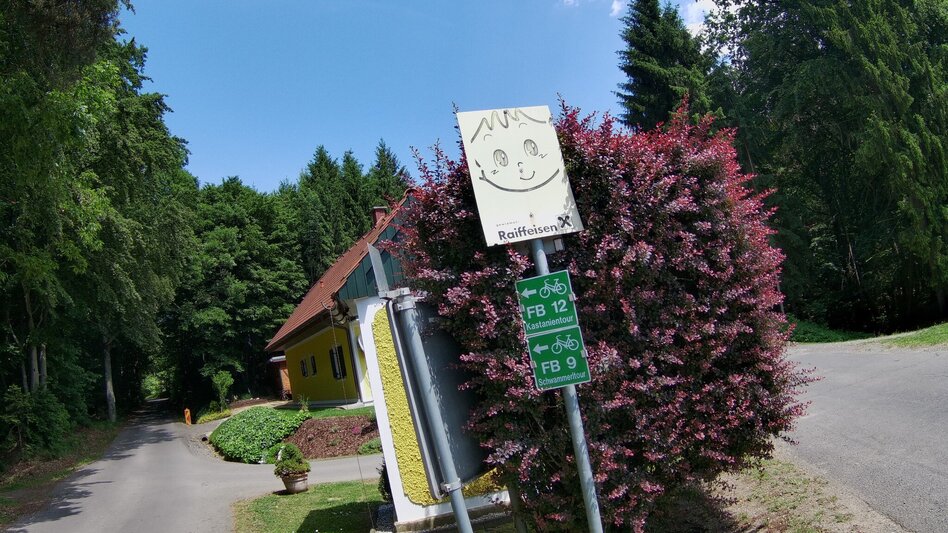 Radfahren Schwammerltour FB9 - Touren-Impression #2.5 | © Thermen- & Vulkanland
