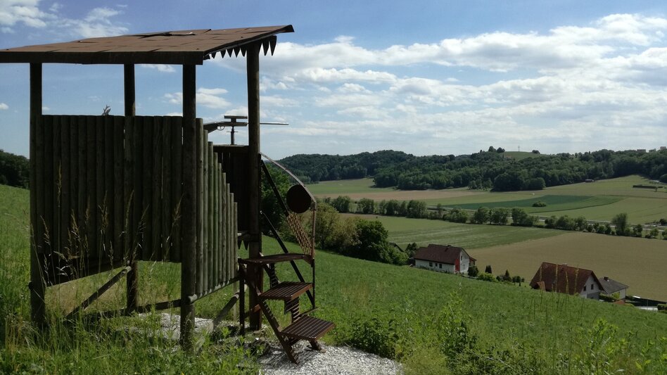 Radfahren Schwammerltour FB9 - Touren-Impression #2.14 | © Thermen- & Vulkanland