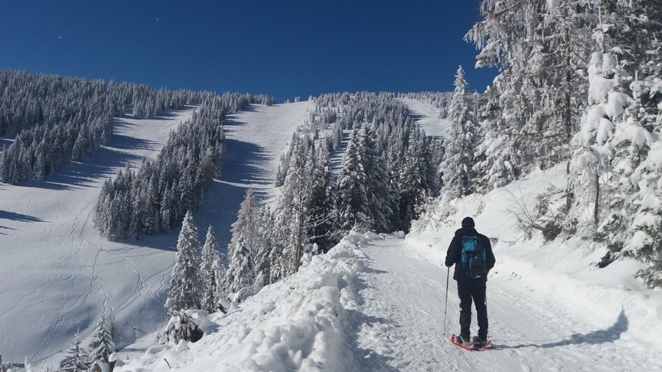 Schneeschuhwandern Ochsenrunde - Touren-Impression #2.1 | © Region Graz