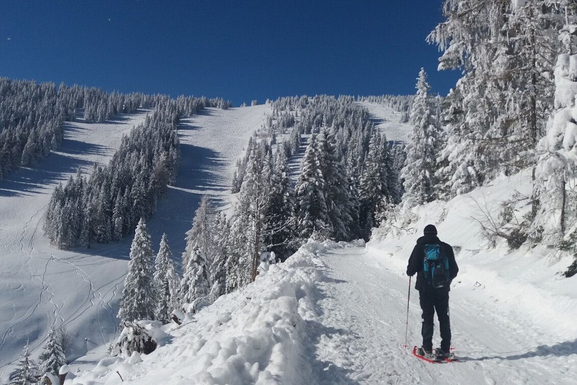 Schneeschuhwandern Ochsenrunde - Touren-Impression #1 | © Region Graz