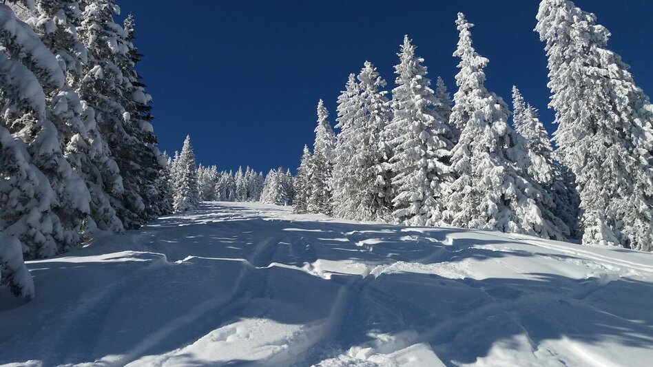 Schneeschuhwandern Ochsenrunde - Touren-Impression #2.2 | © Region Graz