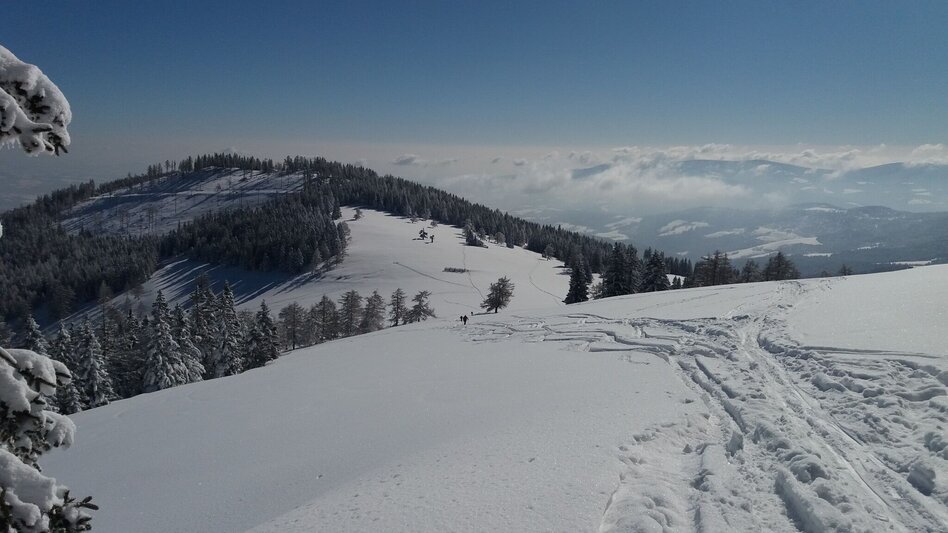 Schneeschuhwandern Ochsenrunde - Touren-Impression #2.3 | © Region Graz