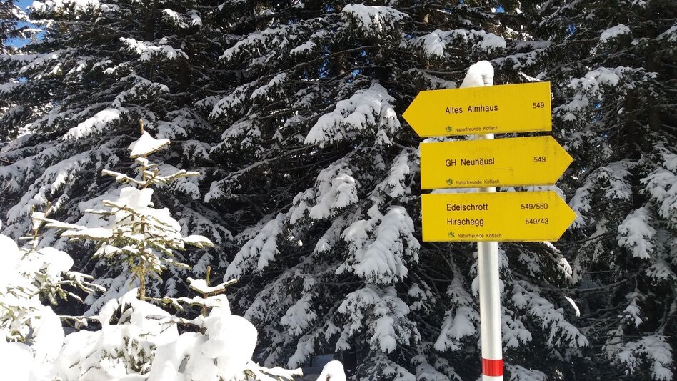 Schneeschuhwandern Ochsenrunde - Touren-Impression #2.5 | © Region Graz