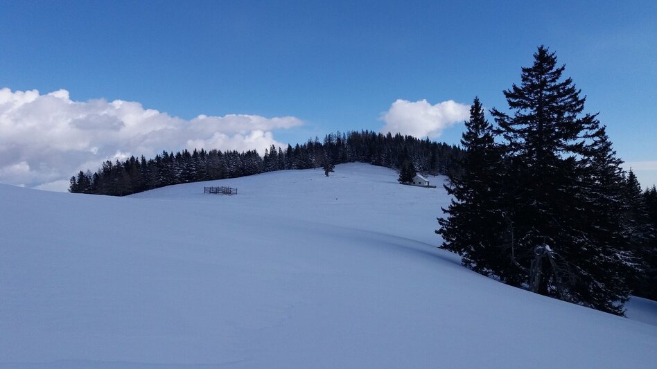 Schneeschuhwandern Ochsenrunde - Touren-Impression #2.8 | © Region Graz