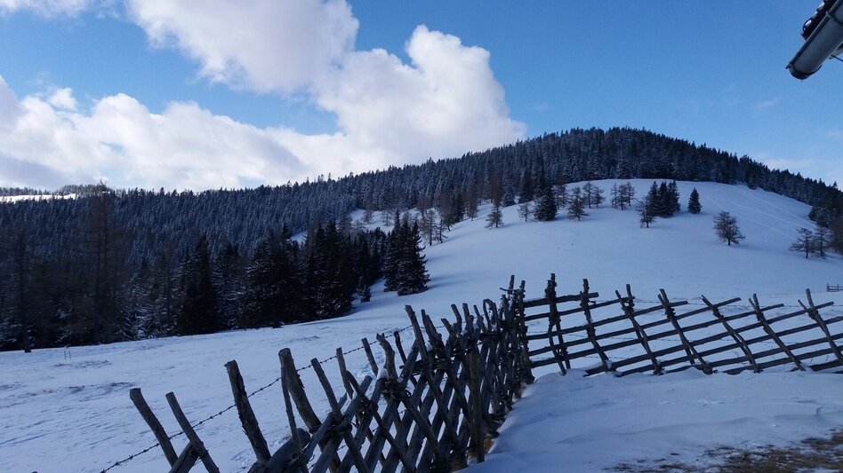 Schneeschuhwandern Ochsenrunde - Touren-Impression #2.10 | © Region Graz