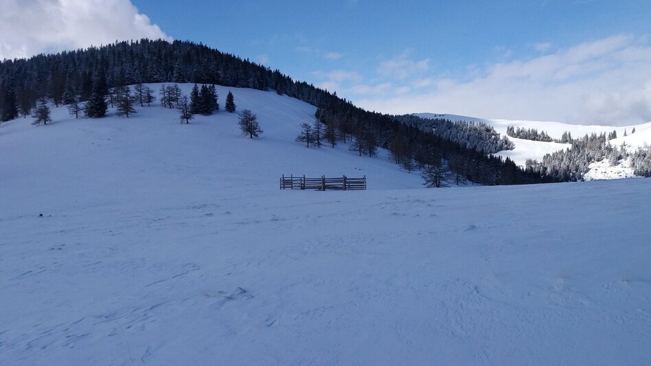Schneeschuhwandern Ochsenrunde - Touren-Impression #2.11 | © Region Graz
