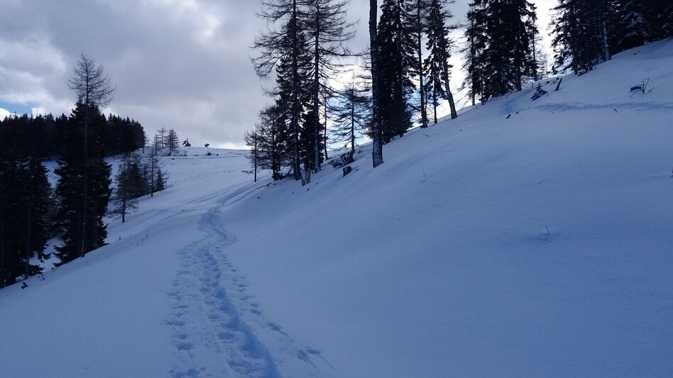 Schneeschuhwandern Ochsenrunde - Touren-Impression #2.12 | © Region Graz