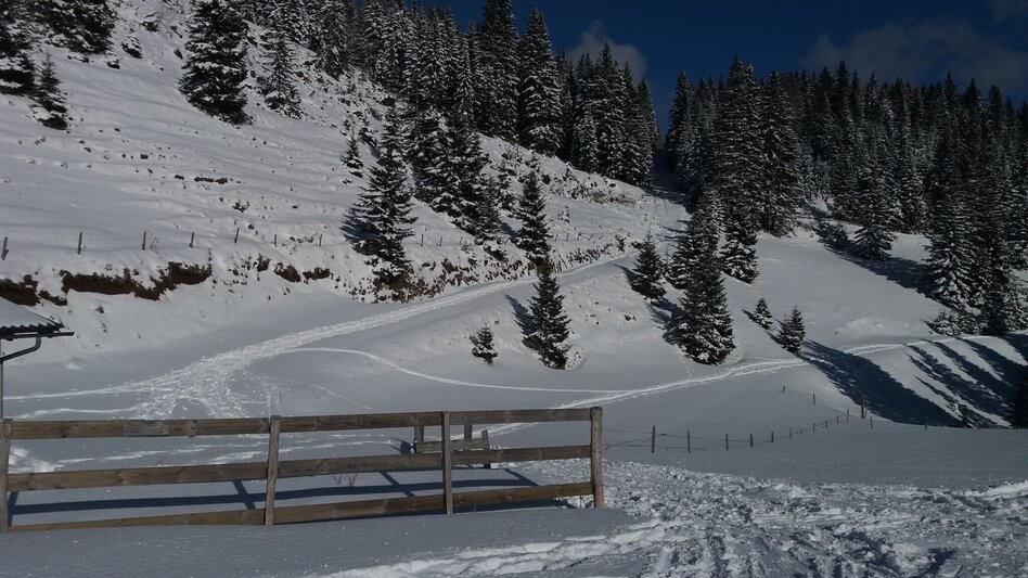 Schneeschuhwandern Ochsenrunde - Touren-Impression #2.14 | © Region Graz