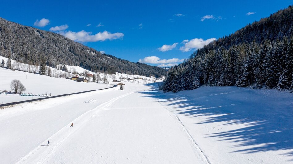 Ski-Nordic Skating Weirerteich Loipe - Touren-Impression #2.1 | © Tourismusverband Murau