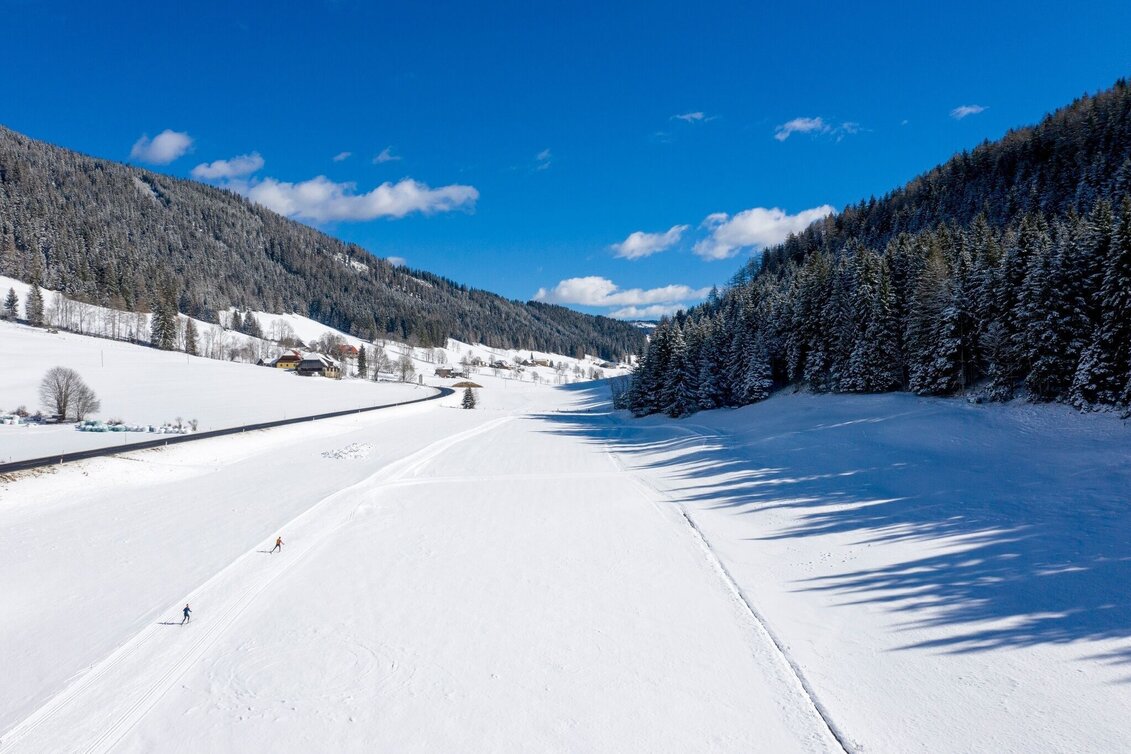 Ski-Nordic Skating Weirerteich Loipe - Touren-Impression #1 | © Tourismusverband Murau
