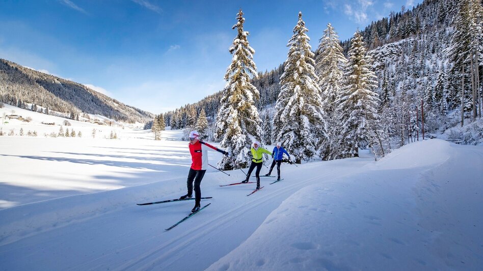 Ski-Nordic Skating Weirerteich Loipe - Touren-Impression #2.2 | © Tourismusverband Murau
