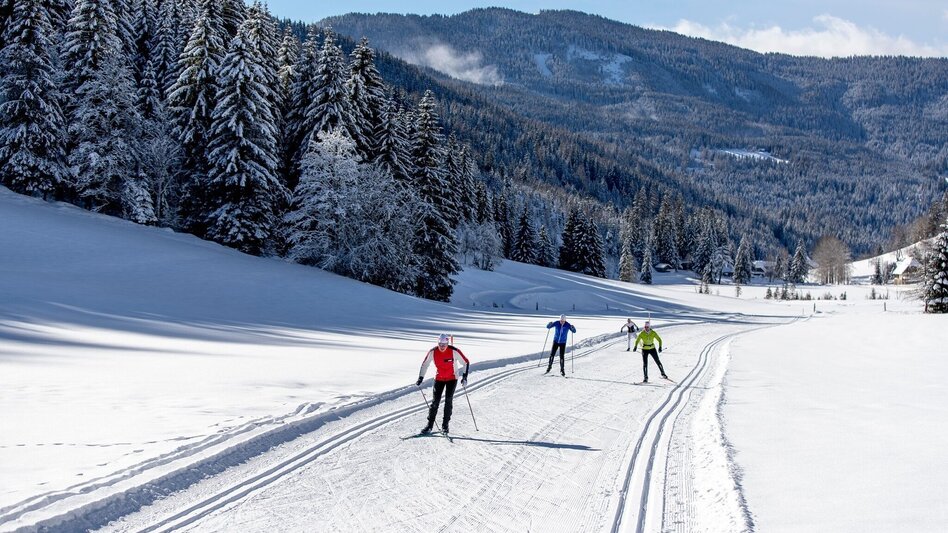 Ski-Nordic Skating Weirerteich Loipe - Touren-Impression #2.3 | © Tourismusverband Murau