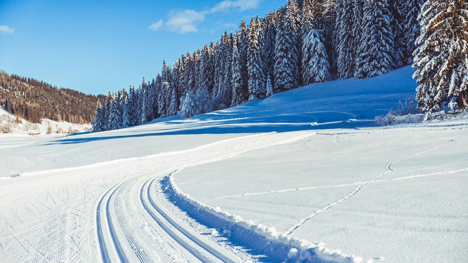 Ski-Nordic Skating Weirerteich Loipe - Touren-Impression #2.4 | © Tourismusverband Murau