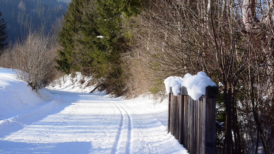 Ski-Nordic Classic Cross-country ski trail along the Mürztal Cycling Path in the Mürzer Oberland Nature Park - Touren-Impression #2.6 | © Naturpark Mürzer Oberland