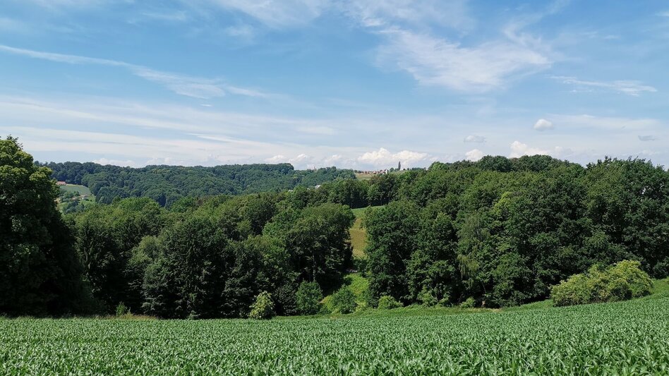 Hiking Route 5 elements track (5-Elemente Weg) - route 3 - Touren-Impression #2.8 | © Thermen- & Vulkanland