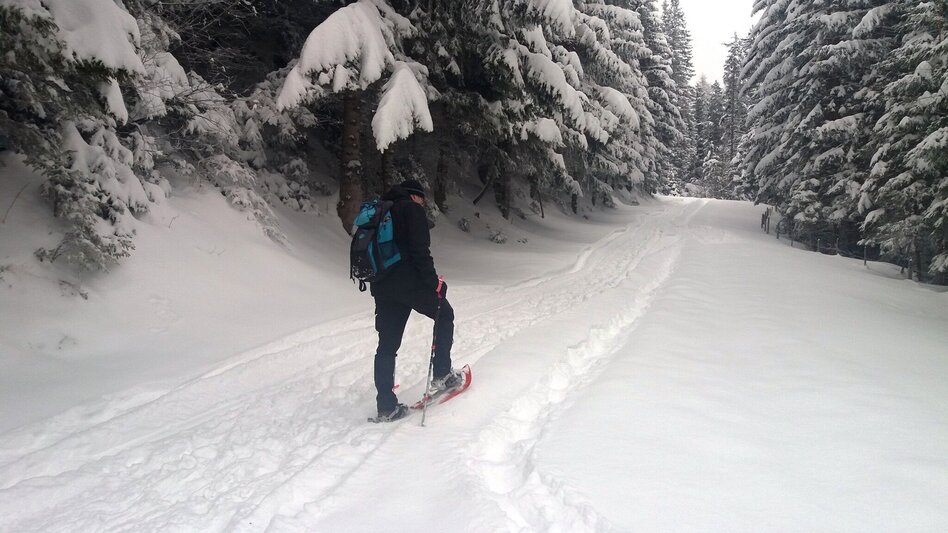 Schneeschuhwandern Soldatenrunde - Touren-Impression #2.1 | © Region Graz