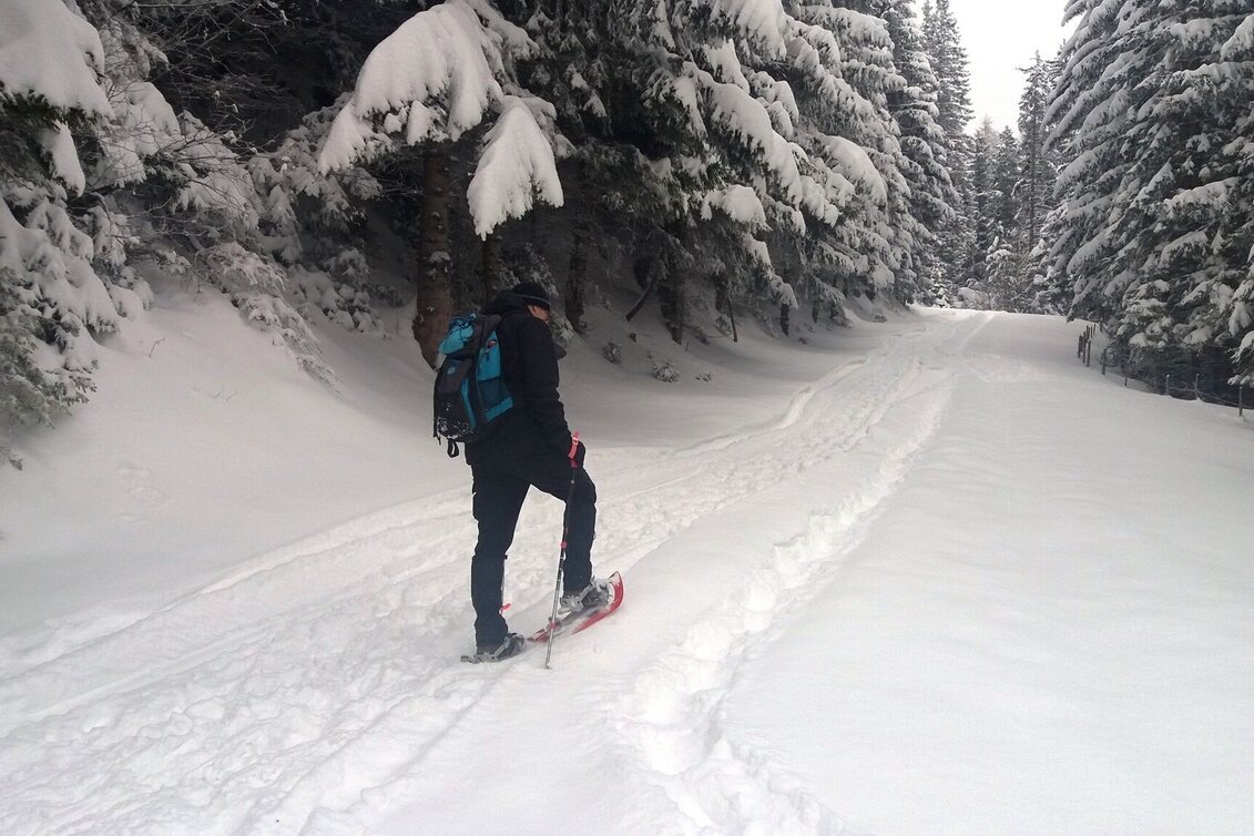 Schneeschuhwandern Soldatenrunde - Touren-Impression #1 | © Region Graz