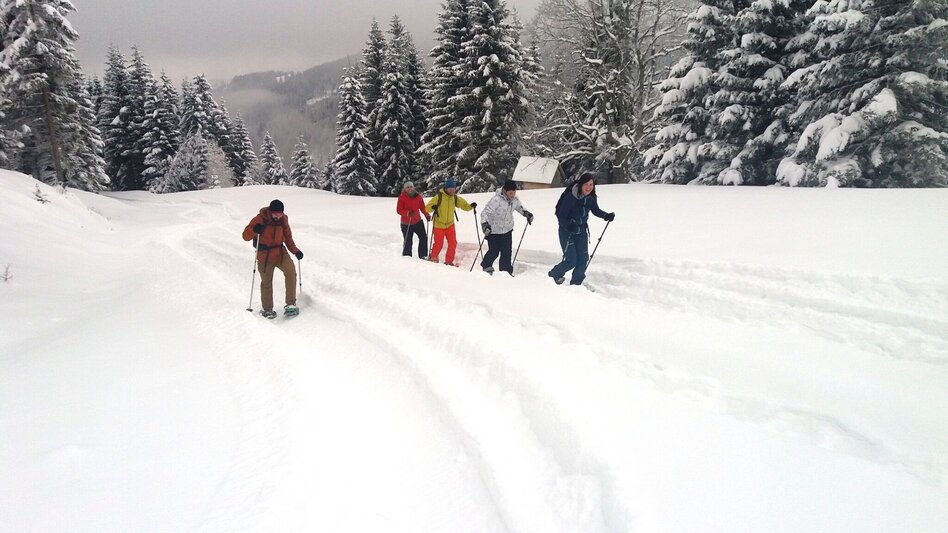 Schneeschuhwandern Soldatenrunde - Touren-Impression #2.3 | © Region Graz
