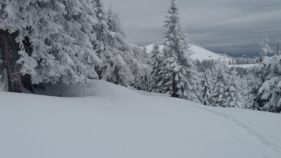Schneeschuhwandern Soldatenrunde - Touren-Impression #2.5 | © Region Graz