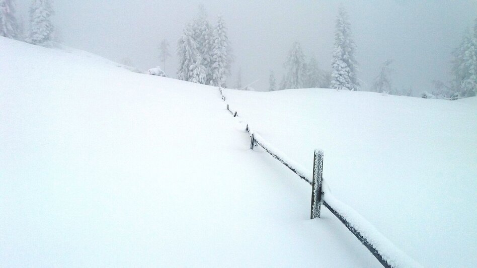 Schneeschuhwandern Soldatenrunde - Touren-Impression #2.7 | © Region Graz
