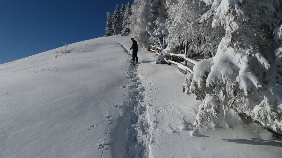 Schneeschuhwandern Soldatenrunde - Touren-Impression #2.9 | © Region Graz
