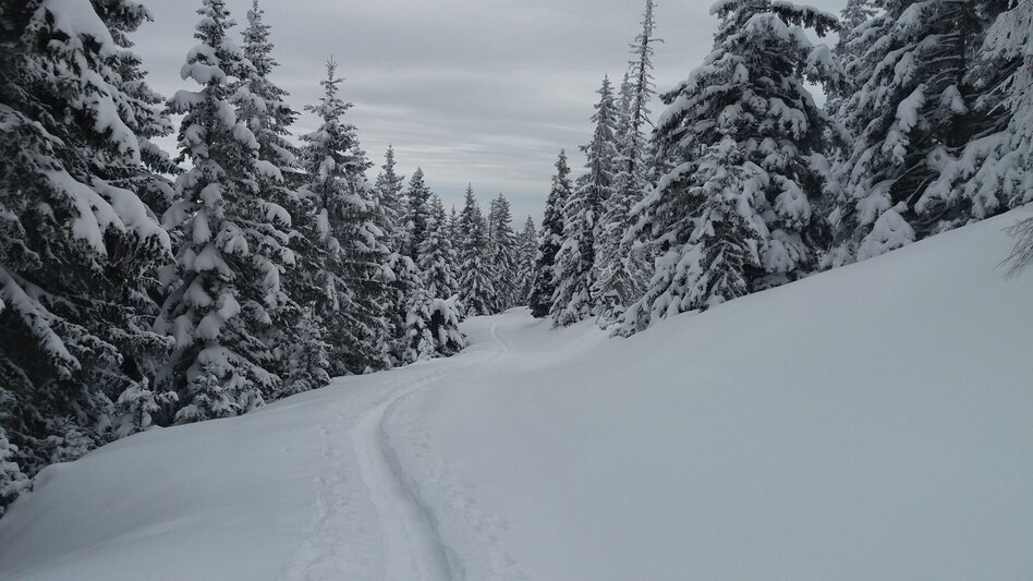 Schneeschuhwandern Soldatenrunde - Touren-Impression #2.13 | © Region Graz