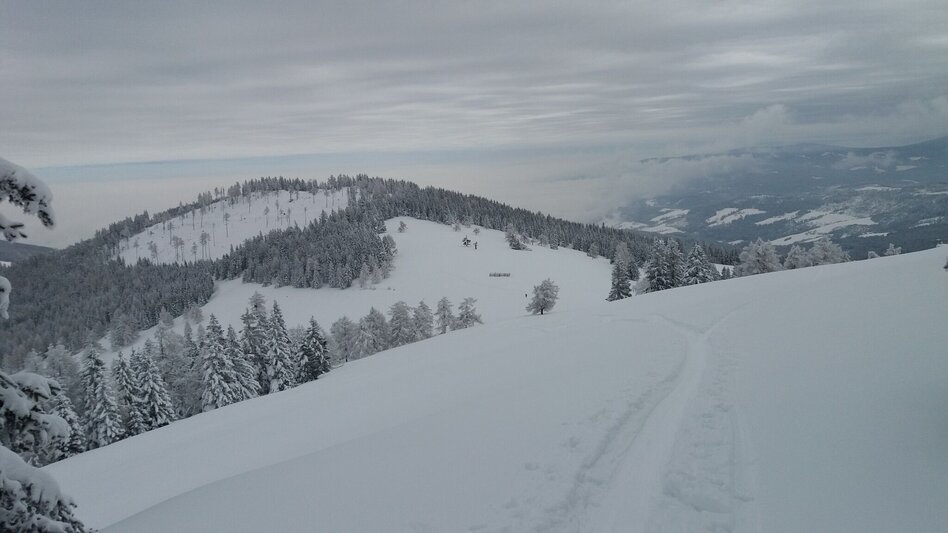 Schneeschuhwandern Soldatenrunde - Touren-Impression #2.14 | © Region Graz
