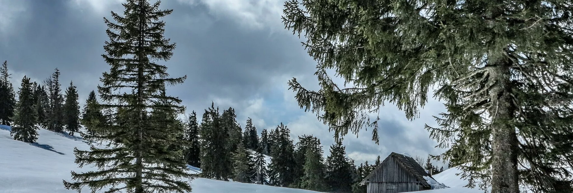 Skitour Buchberg über die Goss - Touren-Impression #1 | © TV Gesäuse