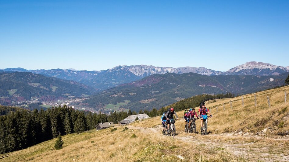 Mountain Biking Wind Park Pretul: From Spital to Friedrichhütte and Schwarzriegelalm - Touren-Impression #2.2 | © TV Hochsteiermark