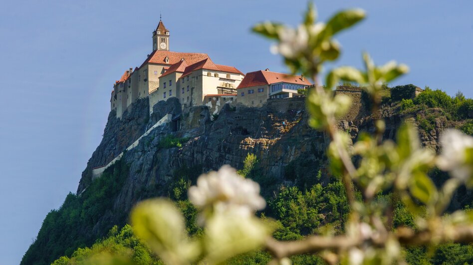 Cycling Cycling Star Tour Day 1 of 5 - The Castle and Pilgrimage Tour (Radsternfahrt Tag 1 von 5 - Die Burg- und Wallfahrtstour) - Touren-Impression #2.1 | © Die Riegersburg