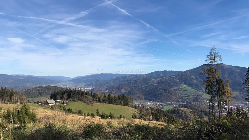 Mountainbike Vom Lamingtal/Arndorf auf das Madereck - Touren-Impression #2.2 | © Hochsteiermark