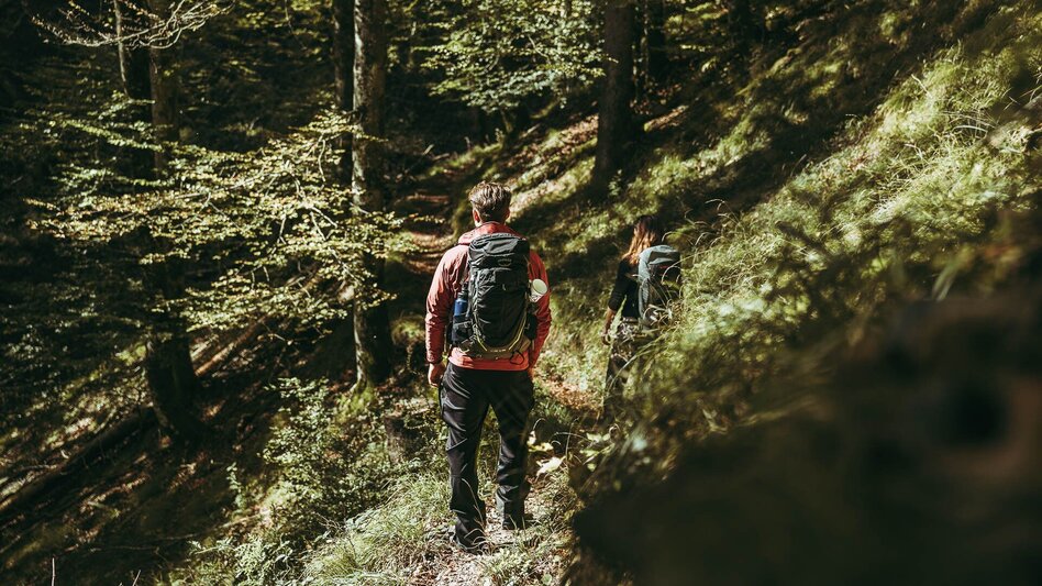 Hiking Route Stage 01 Luchs Trail: Reichraming - Anlaufalm - Touren-Impression #2.10 | © TV Gesäuse
