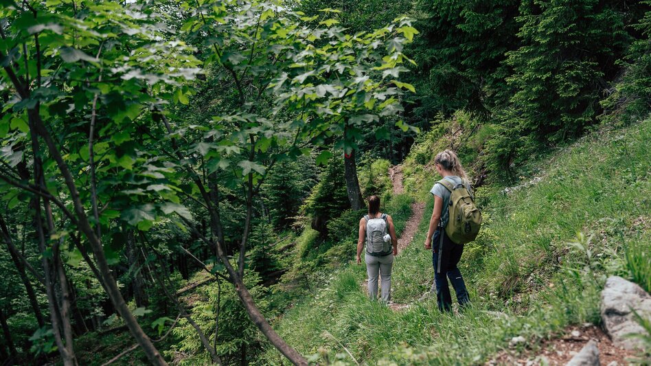 Hiking Route Stage  06 Luchs Trail: Johnsbach - Ennstalerhütte Lodge (Standard) - Touren-Impression #2.12 | © ARGE Luchs Trail