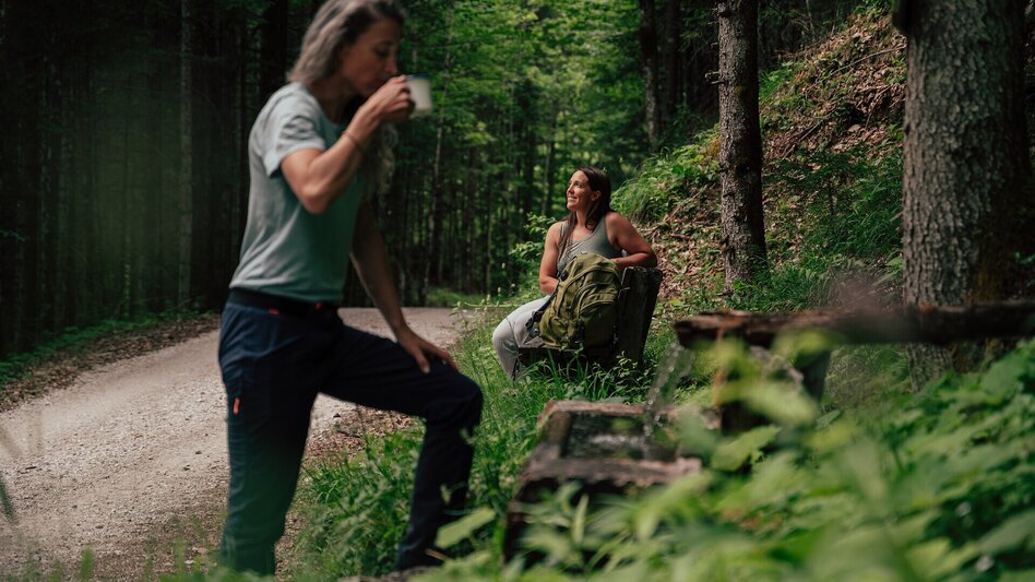 Hiking Route Stage  06 Luchs Trail: Johnsbach - Ennstalerhütte Lodge (Standard) - Touren-Impression #2.13 | © ARGE Luchs Trail