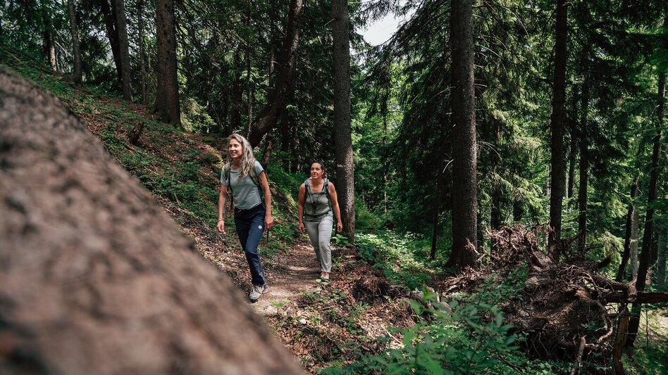 Hiking Route Stage  06 Luchs Trail: Johnsbach - Ennstalerhütte Lodge (Standard) - Touren-Impression #2.15 | © ARGE Luchs Trail