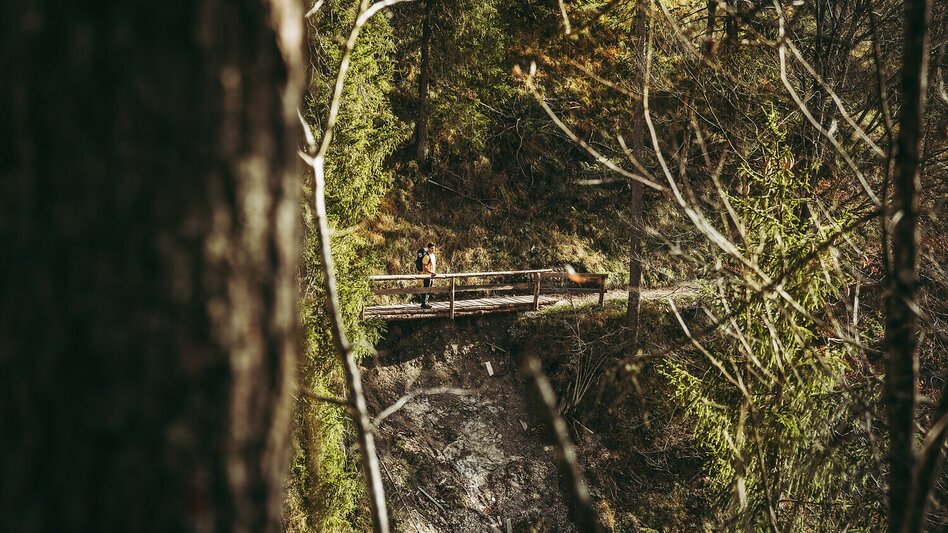 Hiking Route Stage 07 Luchs Trail: Ennstalerhütte Lodge - Mooslandl - Touren-Impression #2.7 | © ARGE Luchs Trail