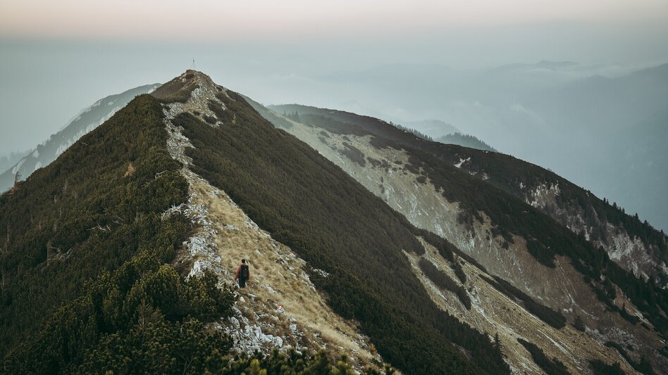Hiking Route Stage  09 Luchs Trail: Palfau - Lassing (main route) - Touren-Impression #2.11 | © ARGE Luchs Trail