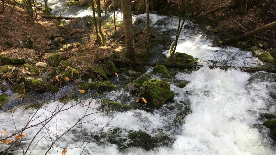 Wanderung Erlaufursprung - Touren-Impression #2.1 | © TV Hochsteiermark