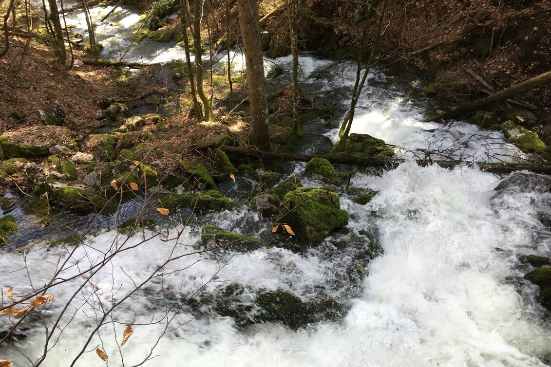 Wanderung Erlaufursprung - Touren-Impression #1 | © TV Hochsteiermark